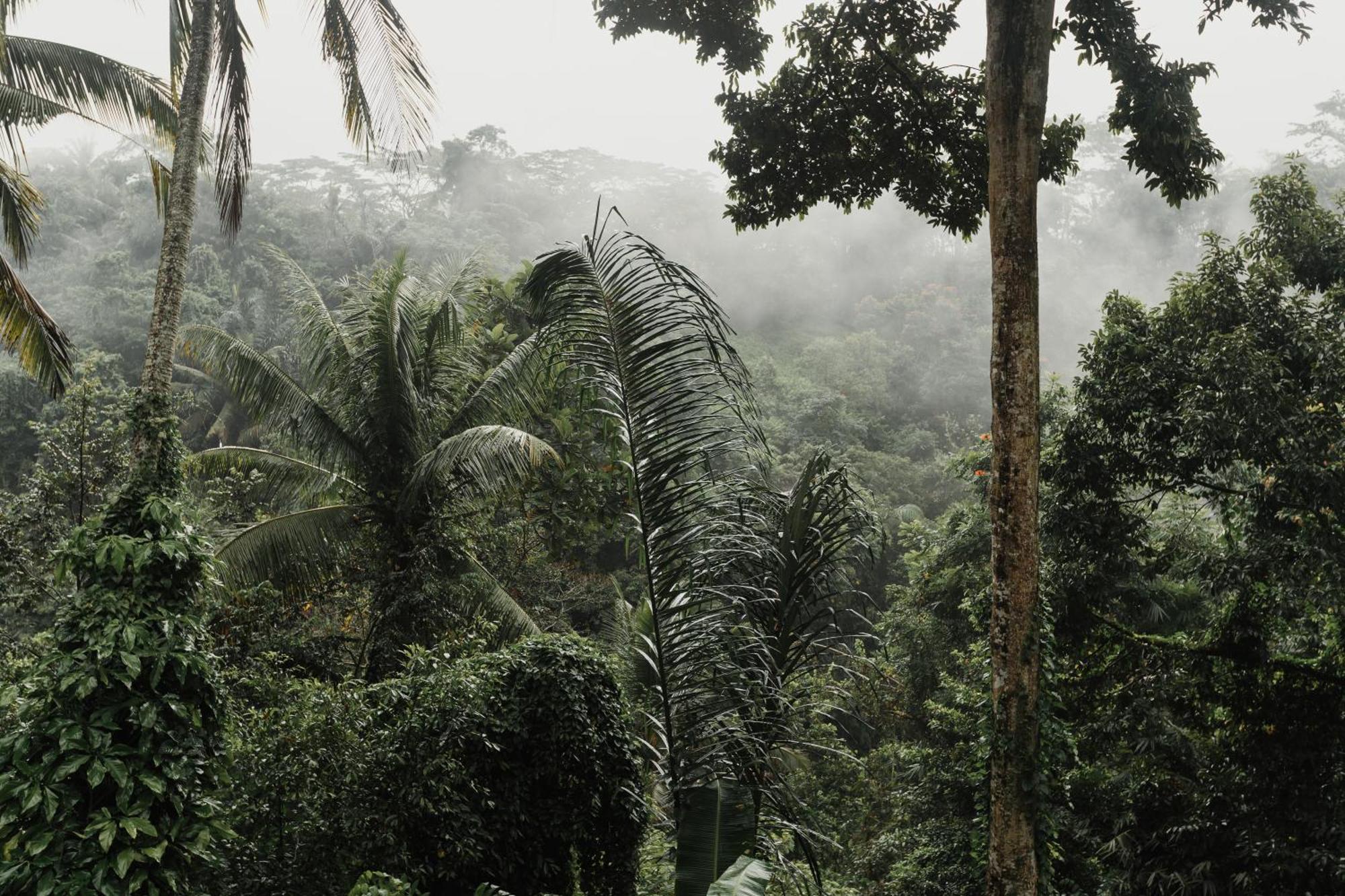 The Iyang Ubud Екстериор снимка